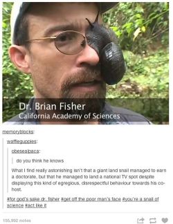 indielowercase:  mybrainmadethis:  khrysdiebee:  entoderek:  Ok so this post is a good post. But did you know there’s more to it than just the screencap? Best 38 seconds of your night, guaranteed.  omfg  SCIENCE  of all the branches of science i think