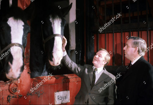 Behind the scenes of Horses in our Blood, 1977