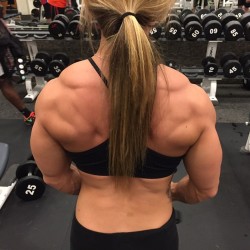 adelmar1066:awesome back and traps