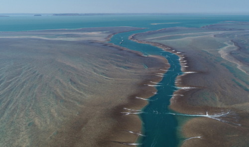 geologicaltravels:2018: Spectacular drone shots of Montgomery reef draining (contribution from Nicol