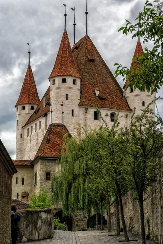 Thun Castle, Switzerland (by bervaz)