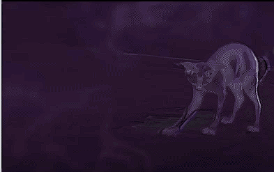 Umm....made A Gif Of Silco Flinching...you're Welcome???