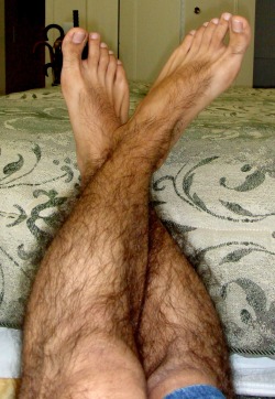Hairy Legs Blog