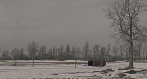 Cinema without people: Ghost Town Anthology (2019,  Denis Côté, dir.)