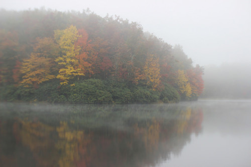 Foggy mist, misty fog, marvelous manifestation, of magnificent nature! by tarabunnyears on Flickr.