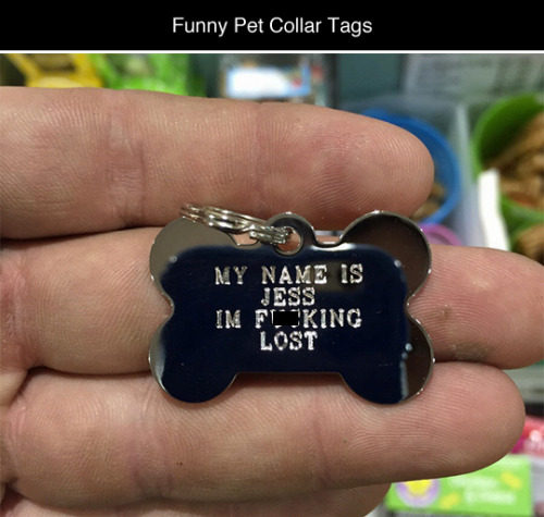 tastefullyoffensive:  Funny Pet Collar Tags porn pictures
