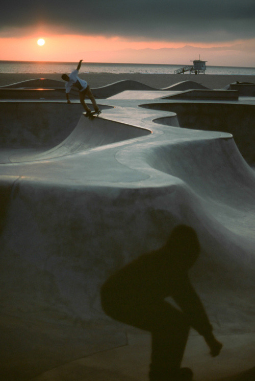 sawyouintheamazon:  Venice beach