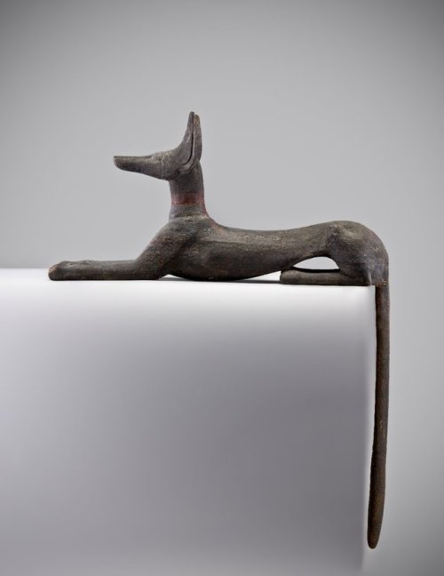 It seems that everyone today loves dogs! The ancient Egyptians loved dogs too. From early on Egyptia