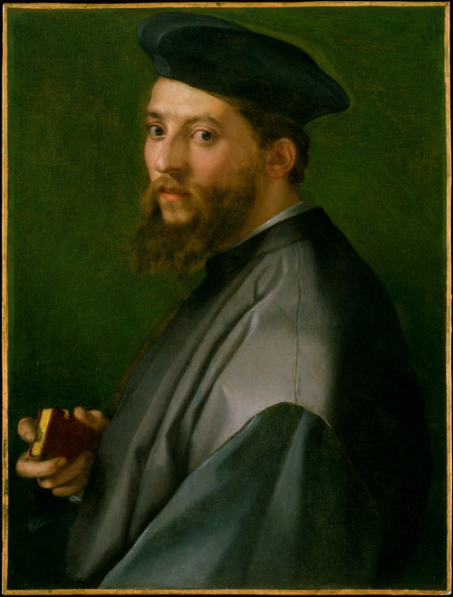 Andrea del Sarto, ritratto di un uomo