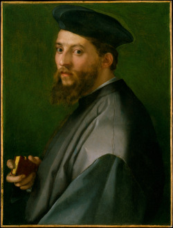 Andrea Del Sarto, Ritratto Di Un Uomo