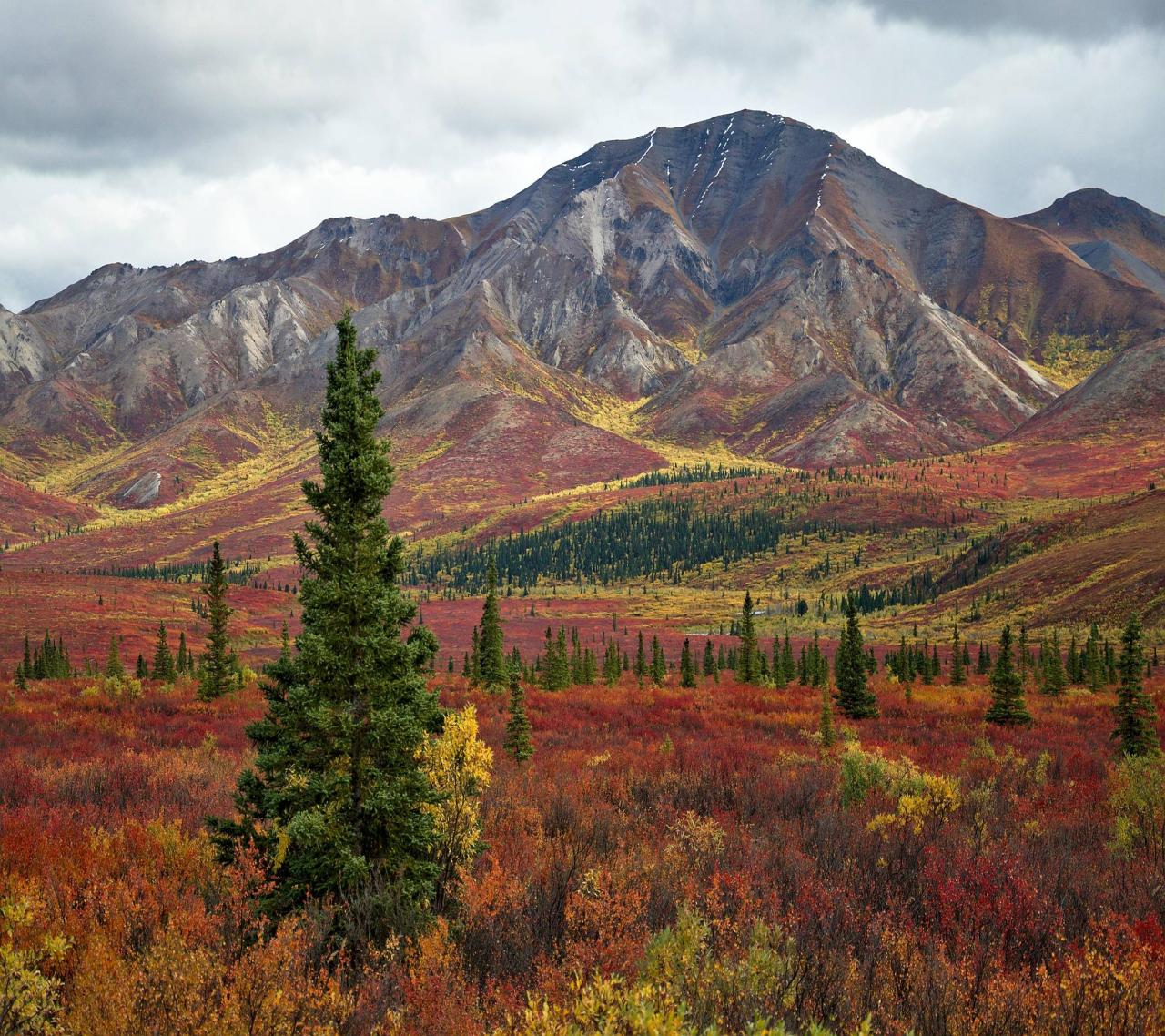 exploreelsewhere: Broad Pass, Alaska. [2880x2560] [OC] ✈ 
