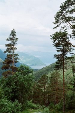 vacants:  Above Kinsarvik (by IggyRox)