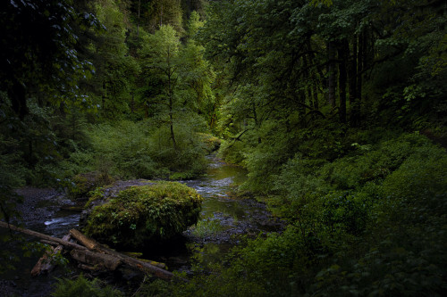 philotheoristic:Silver Creek in Silver Falls State Park…the sun made an appearance between the showe