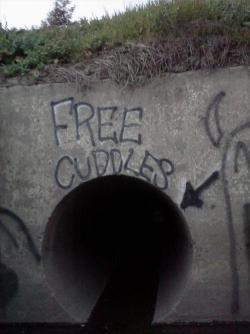 TUMBLRS BEST LOLS