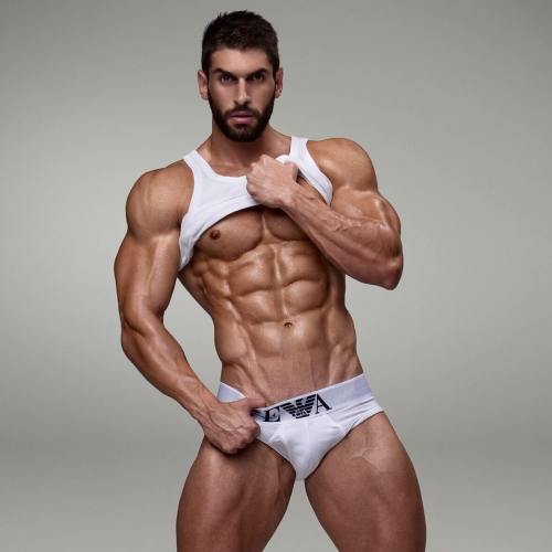 Adonis Files