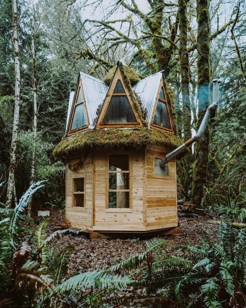 the-bluebonnet-bandit:wild-cabins:Mio MonaschThis is it. This is the cottage all the young children 