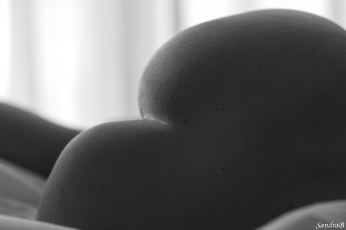 Porn model-sandrab:  …  erotic morning in photos