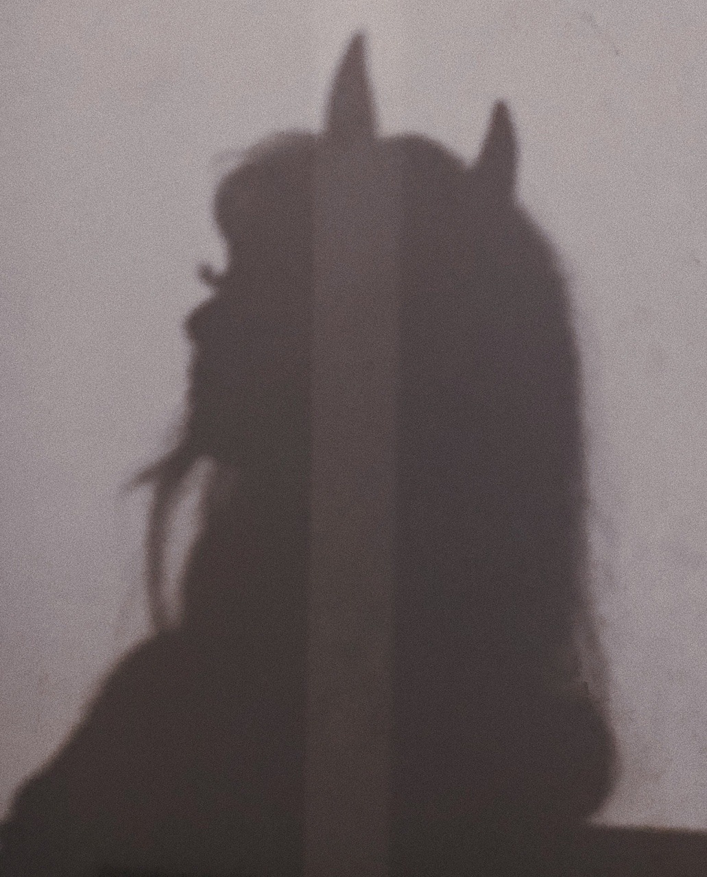 undercoverhoney:   Loving her was like holding hands with the devil  