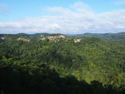 Auxier Ridge Trail | Red River Gorge | Daniel Boone National Forest | Eastern Kentucky | 15 09 13I h