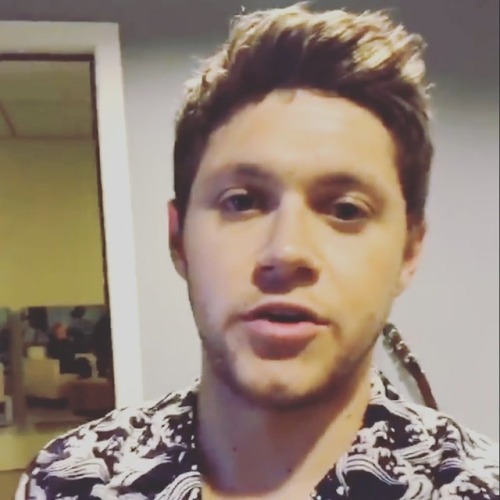 How did I miss this! - #niallhoran #onedirection #music #sound #ellendegeneres #cute #adorable #stag