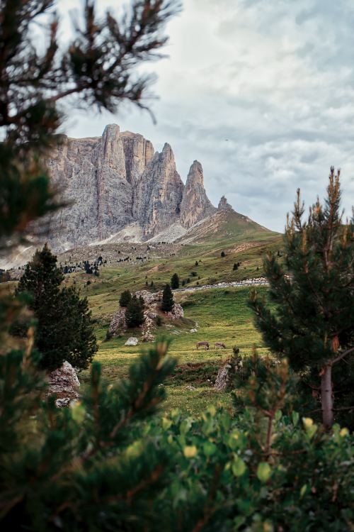 expressions-of-nature: Torri del Sella, Dolomiti, Italy by Tobias Schmücker