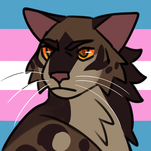 berrym00n: pride batch #2transfemme brightheart, gay asexual littlecloud, demigirl lesbian mossfireo