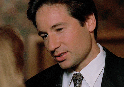 Special Agent FoxIdonotgazeatScullyMulder [3/13] Season Three