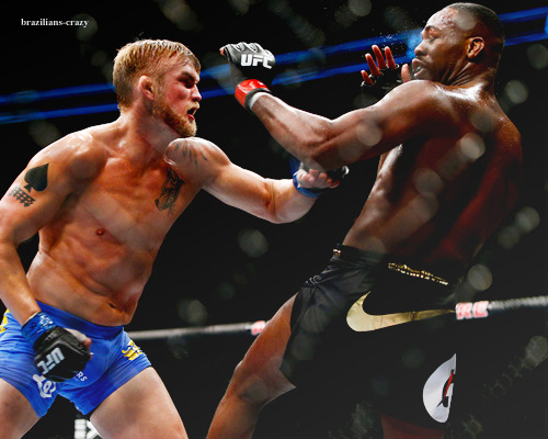 brazilians-crazy:  Alexander Gustafsson vs. Jon Jones    one of the greatest displays of heart ever. both guys were hurt, nobody wanted to quit.