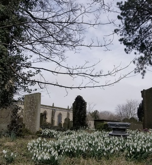 ringrose:  A day at Castleton, March 9th 2018. Instagram: ring.rose 