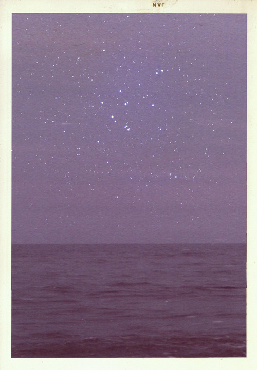 nevver: The Constellations of Summer, Francesco Levy