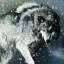 thesnowingwolf