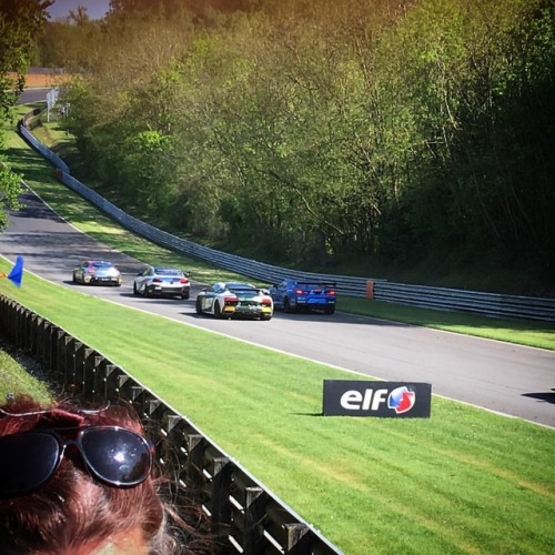 GT4s at Brands Hatch #motorsport #motorsports