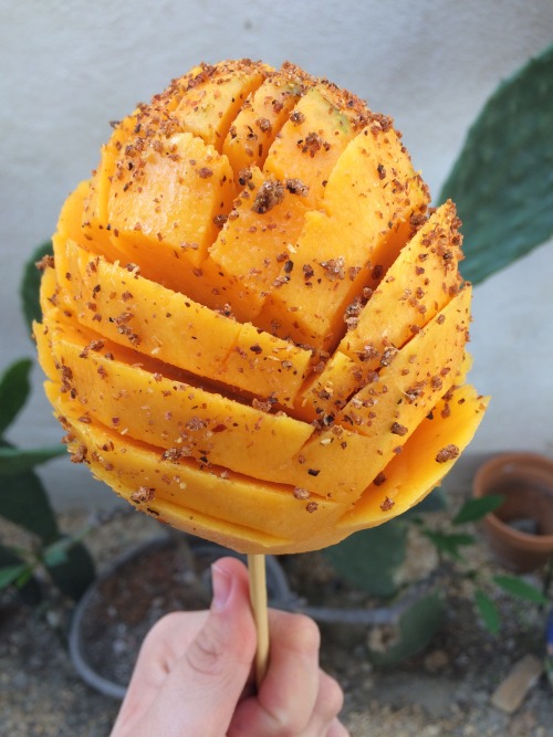 mari-182:como la flor de mango y trajín✨