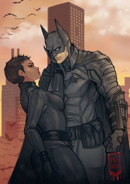 the bat and the cat