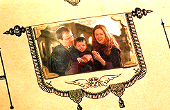 lesliebensgone-blog:                    [24/50] Harry Potter Parallels                    
