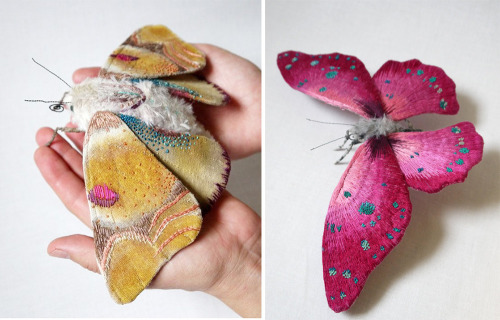 itscolossal:  Textile Moth and Butterfly Sculptures by Yumi Okita 
