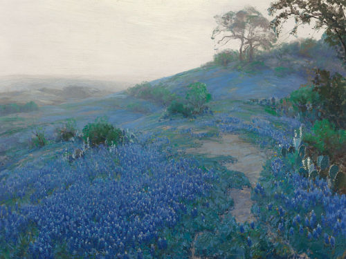 Julian Onderdonk - Blue Bonnet Field, Early Morning, San Antonio Texas - 1914  Julian Onderdonk - Bl