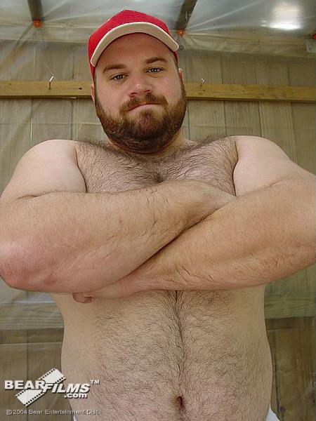 revengeofthebears:  The bear jeff adult photos