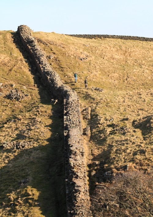 geologicaltravels:2013: Hadrians Wall on the Highshield Crags, which are a very scenic outcrop of Ca