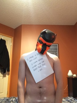 dustythefurrypup:  Made a bet not to cum for three weeks with a friend.  I went two and had to be shamed for being a bad pup