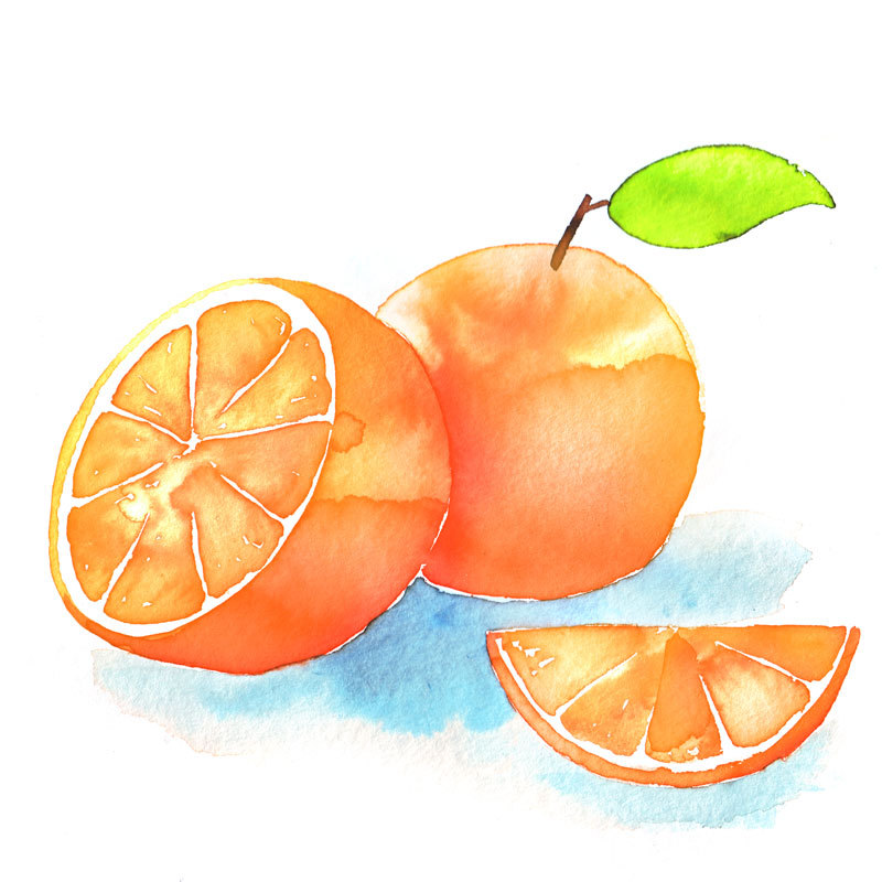 atomicocean:  oranges / 25 x 25 cm / the spring drawings  