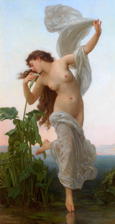 didoofcarthage: Aurora by William-Adolphe Bouguereau  c. 1881 oil on canvas private collection&