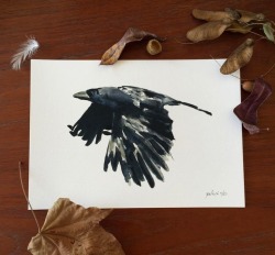 thejoyofcolor:  now on sale 15% off :) https://www.etsy.com/il-en/listing/161691054/the-raven-art-print-raven-art-print?ref=shop_home_active_3&pro=1