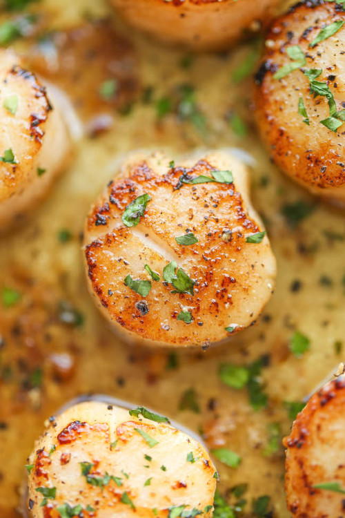 sandseaskysunskinsex:  do-not-touch-my-food:  Lemon Butter Scallops  I hope you have a second batch on the go, ‘cause these are all mine. Just sayin’…