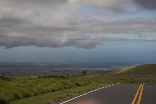 02/03/2021Old Saddle Road.