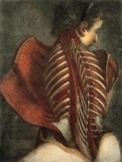  disección parcial de una figura femenina, Por: Gautier Dagoty 1745/1746 _Muscles of the back: partial dissection of a female figure, By: Gautier Dagoty Paris :  1745/1746]