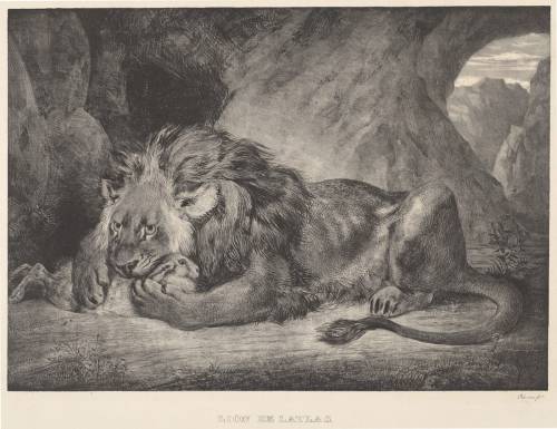 Eugène Delacroix - Lion de l’Atlas (Lion of the Atlas Mountains) (1829)