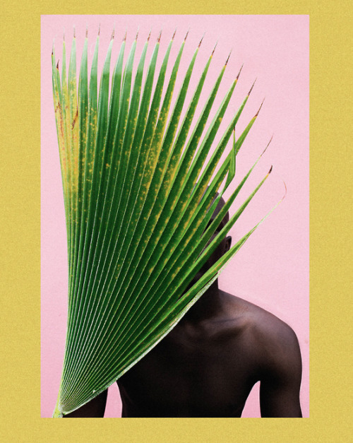 strangeasanjles:  5centsapound:  lakin ogunbanwo (Nigerian based/born photographer) *gorgeous. rivalling viviane sassen… see an interview with him via My Africa Is: The Lagos Chronicles    I had to take a minute to process the perfection of this set.