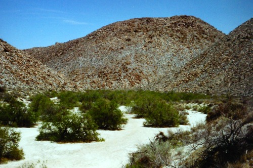 Desert Wash, Anza-Borrego Desert State Park, San Diego County, California, 1991.