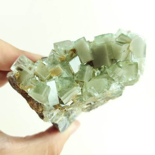 Lustrous light green fluorite crystals with clay phantoms, Huangshaping Mine, Hunan, China - heading